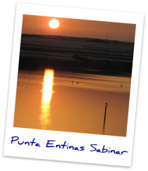 Punta Entinas Sabinar - Almeria, Spain
